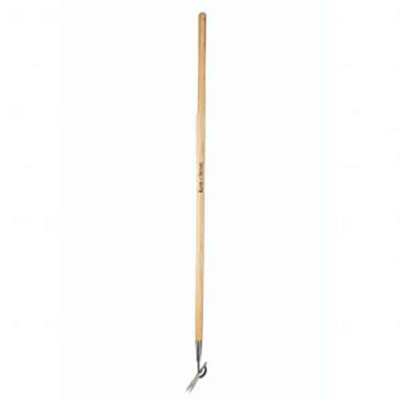 Kent & Stowe Stainless Steel Long Handled Daisy Weeder image 0