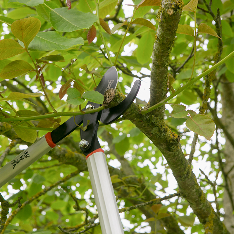 Wilkinson Sword Geared Bypass Loppers image 0