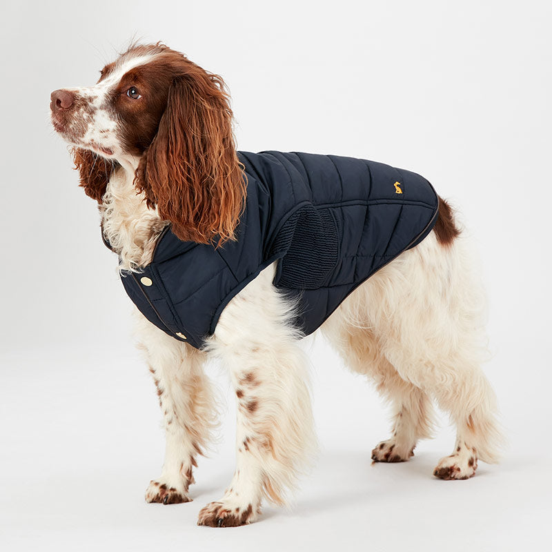 Joules Cherington Padded Dog Coat image 0