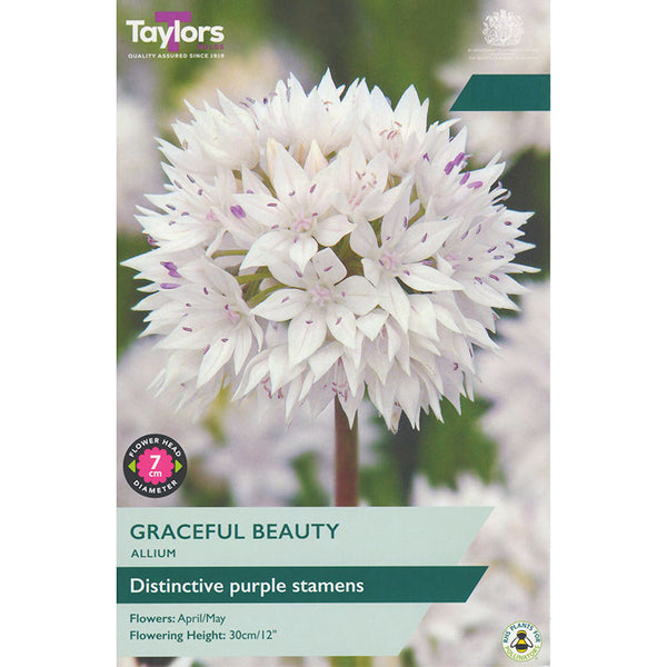 Allium ‘Graceful Beauty’ (7 Bulbs) image 0