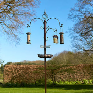 Tom Chambers Ascot Bird Feeding Station image 0