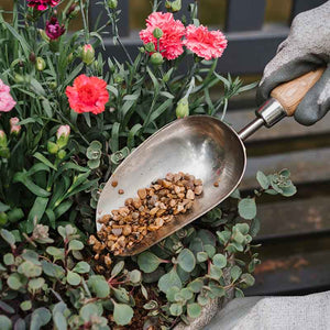 Kent & Stowe Stainless Steel Hand Potting Scoop image 1