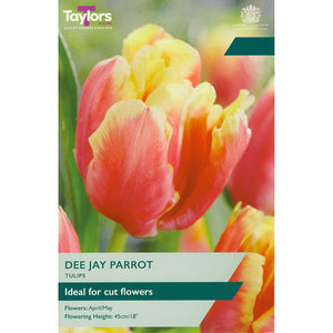 Tulip ‘Dee Jay Parrot’ (5 Bulbs) image 0