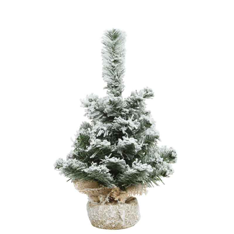Everlands Mini Snowy Imperial Pine image 0