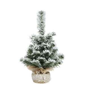 Everlands Mini Snowy Imperial Pine image 1