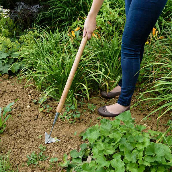 Kent & Stowe Stainless Steel Long Handled Multi Weeder image 3