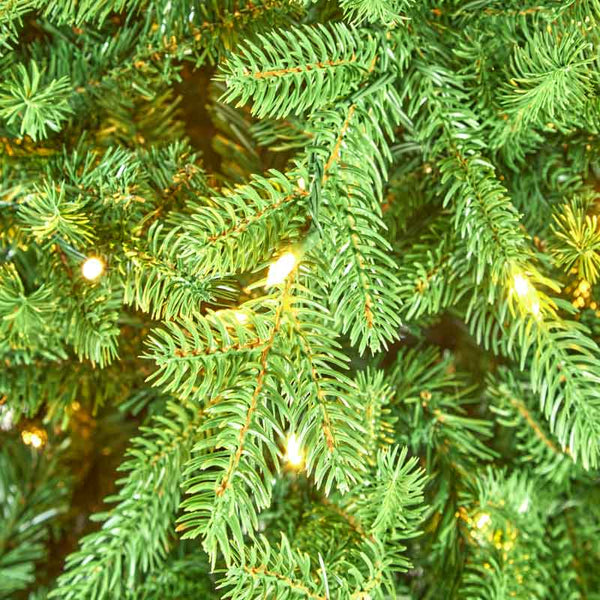 National Tree Princeton Medium Pre-Lit Christmas Tree - 7.5ft image 3