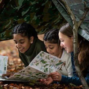 The British Woodland Den Kit image 2