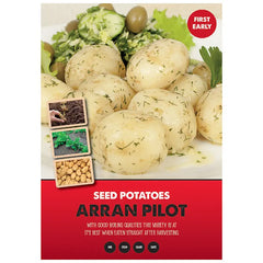 Arran Pilot First Early Seed Potatoes image 0