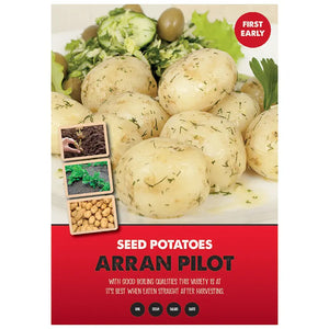 Arran Pilot First Early Seed Potatoes image 0