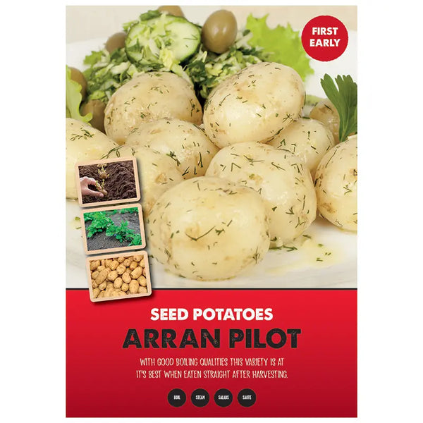 Arran Pilot First Early Seed Potatoes image 0