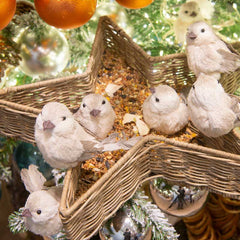 Decoris Light Grey Bird (Assorted Designs) image 0