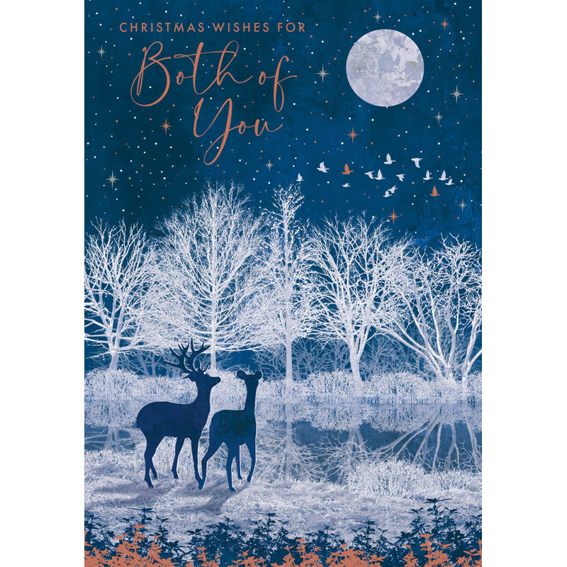 Nigel Quiney Moonlit Deer Christmas Card image 0