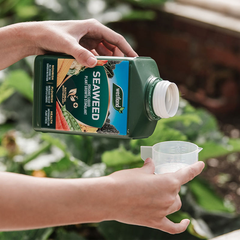 Westland Organic Seaweed Liquid Plant Growth Stimulant (1-Litre) image 0