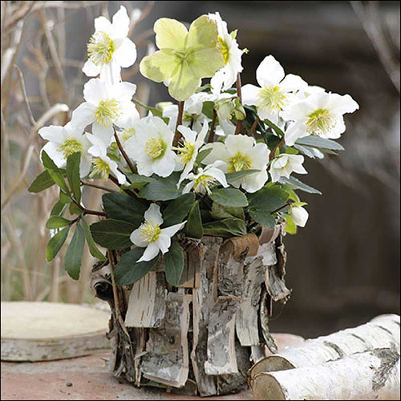 Ambiente Paper Napkins - White Christmas Rose (Pack of 20) image 0
