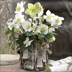 Ambiente Paper Napkins - White Christmas Rose (Pack of 20) image 0