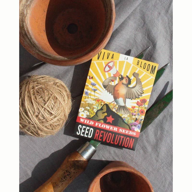 ‘Viva La Bloom’ Native Beginner’s Meadow Wild Flower Seed Mix (1 Packet) image 0