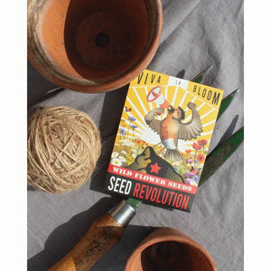 ‘Viva La Bloom’ Native Beginner’s Meadow Wild Flower Seed Mix (1 Packet) image 0
