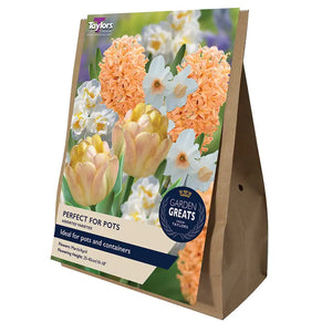 Perfect For Pots Bulb Collection (20 bulbs) image 0
