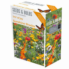 ‘Sunshine Shades' Seeds & Bulbs Mix image 0
