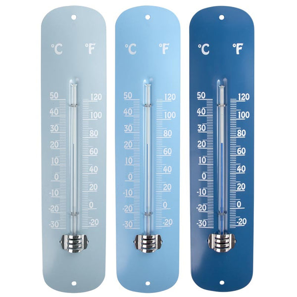 Fallen Fruits Blue Thermometer (Assorted Designs) image 0
