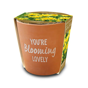 'You’re Blooming Lovely' Terracotta Pot with Narcissi ‘Tête-à-Tête’ (5 Bulbs) image 0