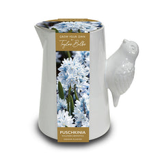 Luxury Bird Handle Jug with Puschkinia Scilloides Libanotica (5 Bulbs) image 0