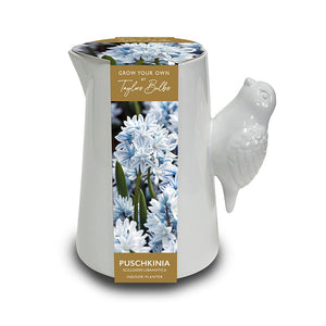 Luxury Bird Handle Jug with Puschkinia Scilloides Libanotica (5 Bulbs) image 0