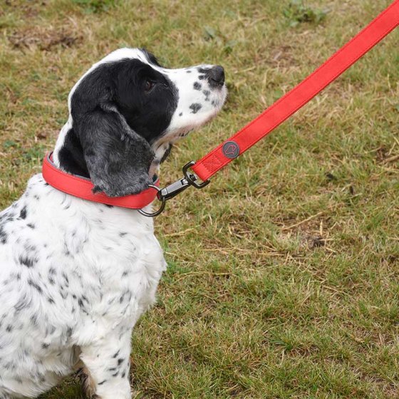 Zoon Uber-Activ Padded Dog Lead image 1