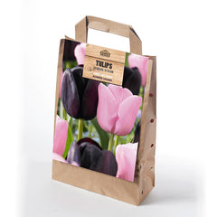 Double Tulip Black and Pink Mix in a Gift Bag (20 Bulbs) image 0