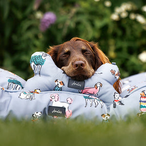 Joules Rainbow Dogs Comfort Bone Dog Toy image 4