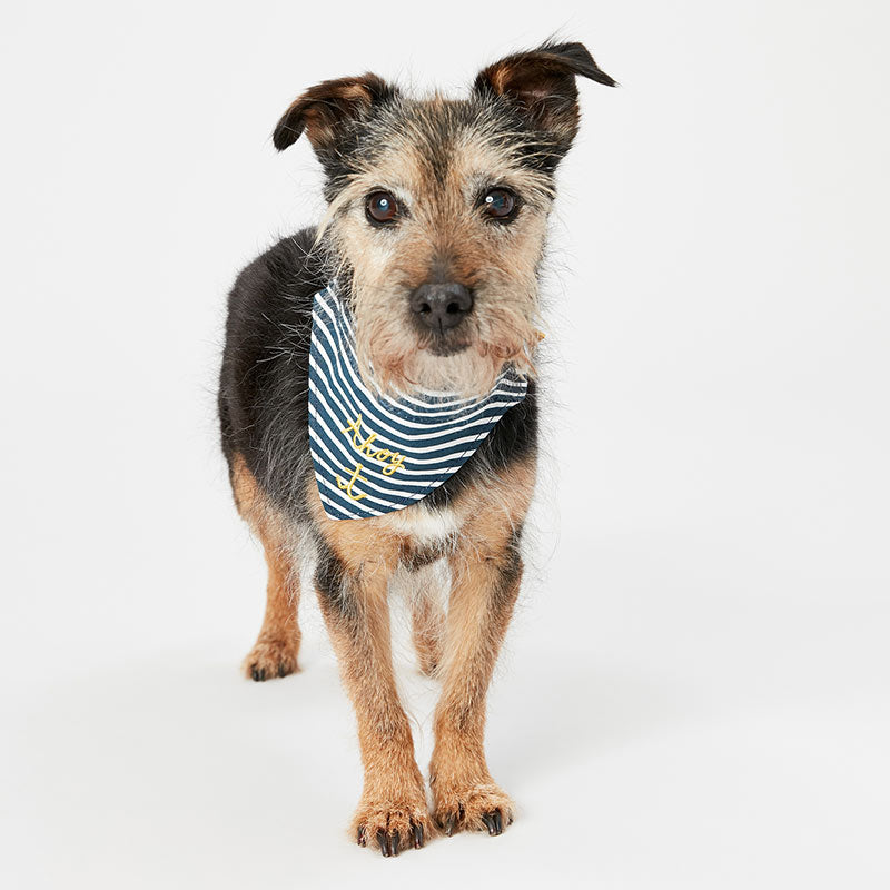 Joules Ahoy Neckerchief Dog Collar image 0