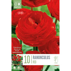 Ranunculus Aviv 'Red' (10 bulbs) image 0