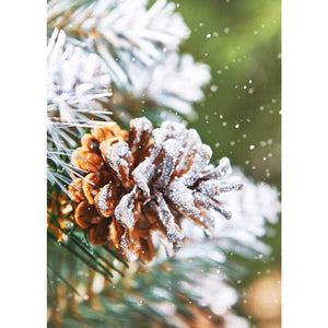 Ling Design Big Value Box - Winter Scenes (Pack of 24) image 2
