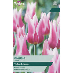 Tulip ‘Claudia’ (7 Bulbs) image 0