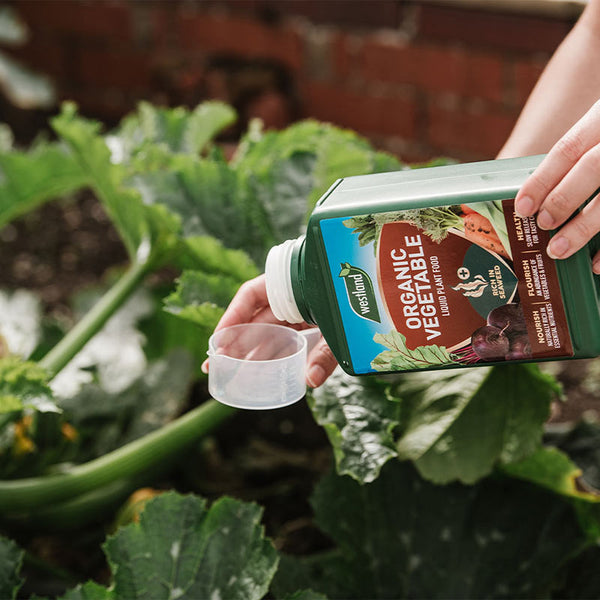 Westland Organic Vegetable Specialist Liquid Feed 1 Litre image 2