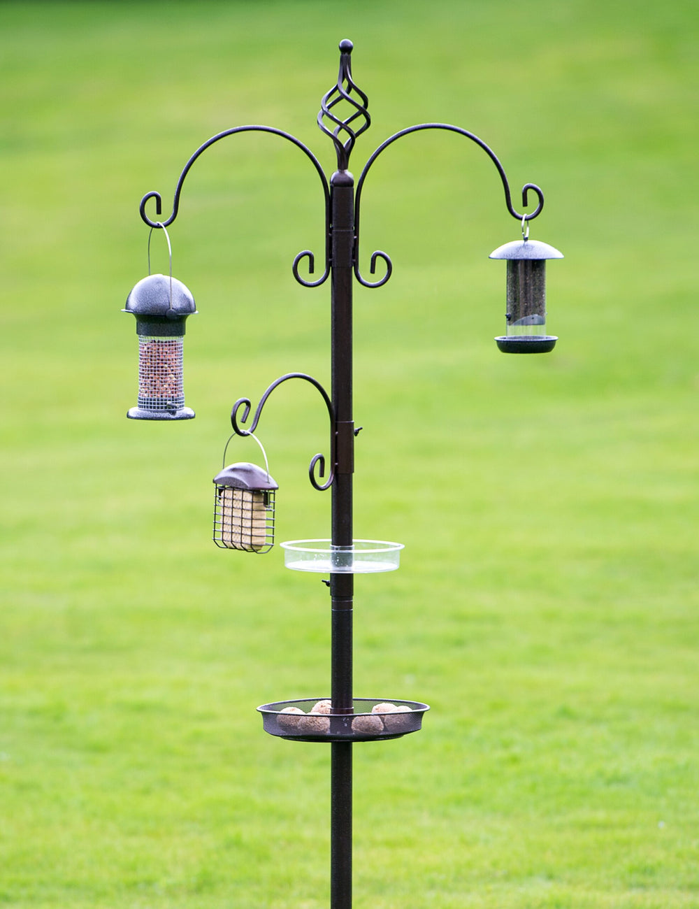 Tom Chambers Prestige Royale Bird Station image 0