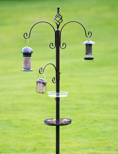 Tom Chambers Prestige Royale Bird Station image 0