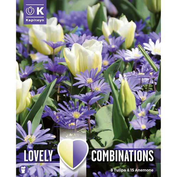 Anemone 'Blue' & Tulip 'White' Combination Mix (23 bulbs) image 0