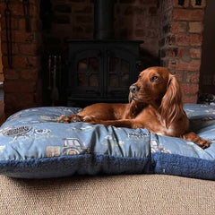 Snug & Cosy Farmyard Dog Lounger Blue image 0