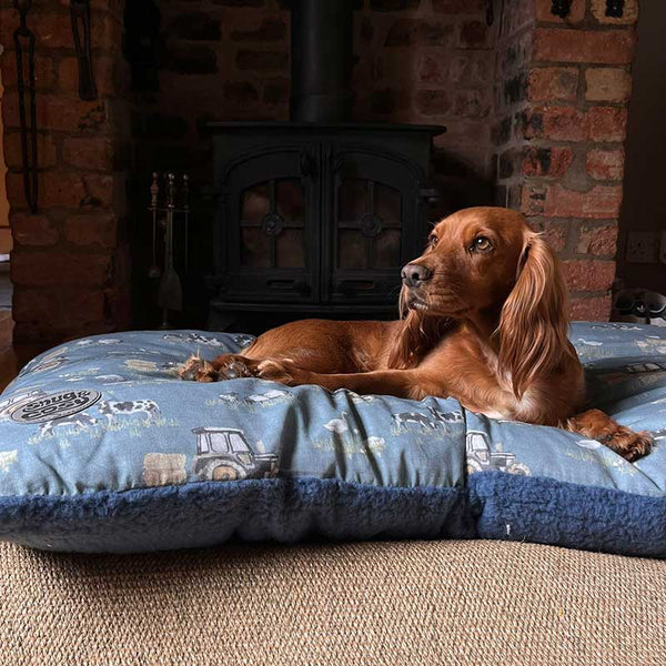 Snug & Cosy Farmyard Dog Lounger Blue image 0