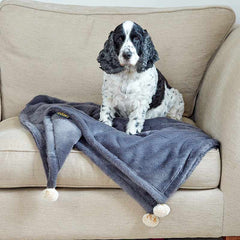 Zoon Head in the Clouds Velour Comforter image 0