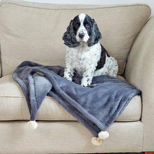 Zoon Head in the Clouds Velour Comforter image 0