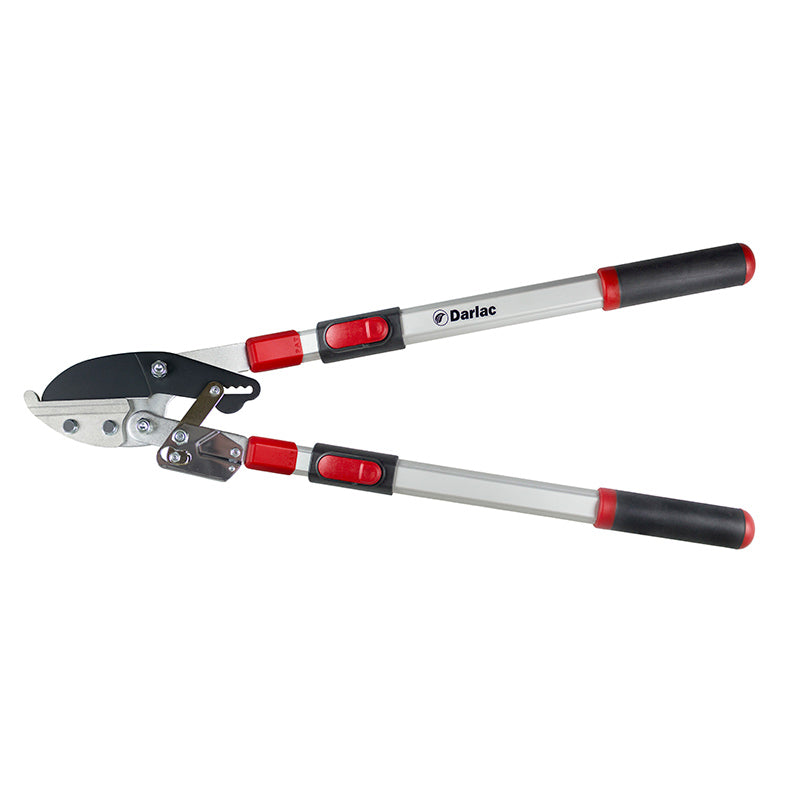 Darlac Telescopic Ratchet Lopper image 0