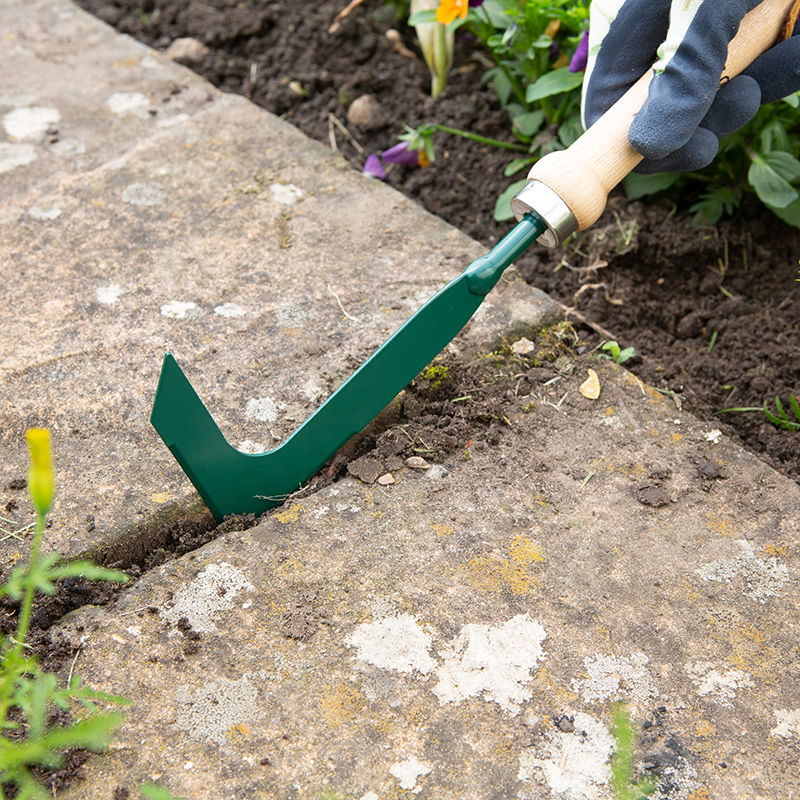 Wilkinson Sword Carbon Steel Patio Scraper image 0