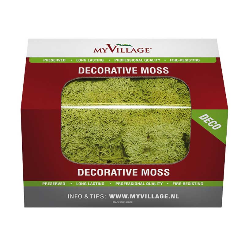 My Village Light Green Reindeer Moss (50g) image 0