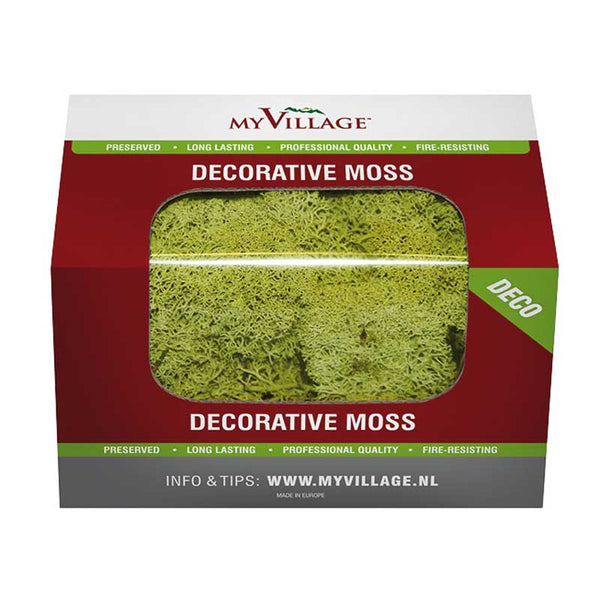 My Village Light Green Reindeer Moss (50g) image 1