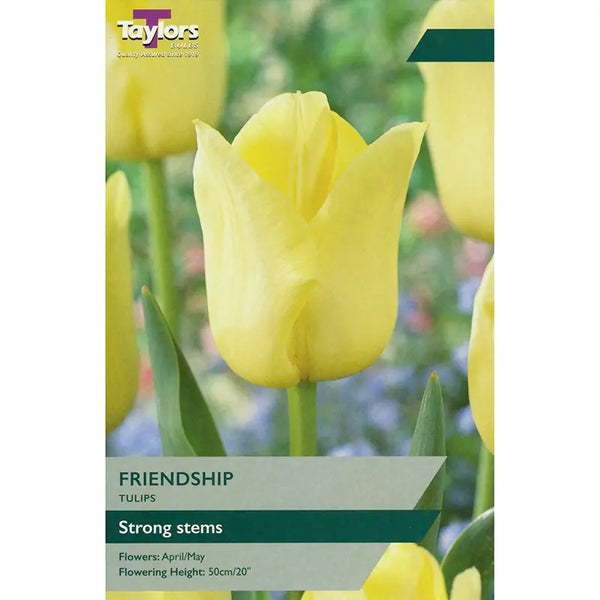 Tulip 'Friendship' (9 bulbs) image 0