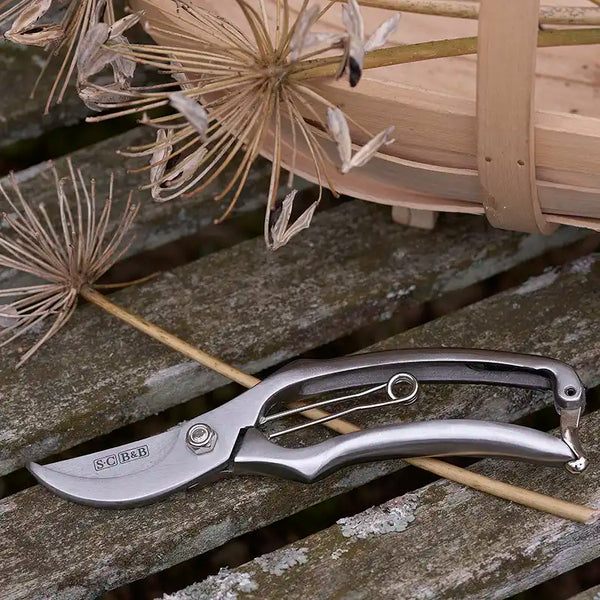 Burgon & Ball Sophie Conran Secateurs in Gift Box image 3