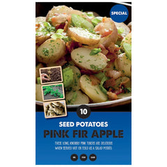 Pink Fir Apple Main Crop Seed Potatoes (Pack of 10) image 0